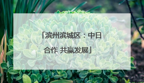 滨州滨城区：中日合作 共赢发展
