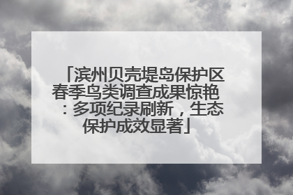 滨州贝壳堤岛保护区春季鸟类调查成果惊艳：多项纪录刷新，生态保护成效显著