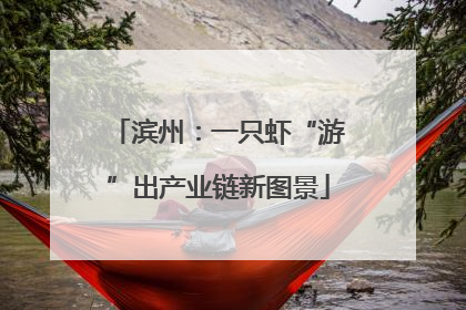滨州：一只虾“游”出产业链新图景