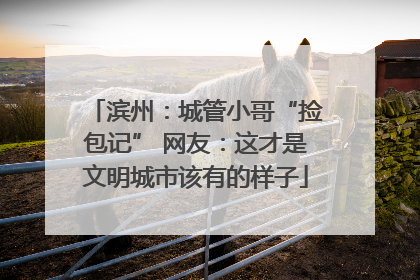 滨州：城管小哥“捡包记” 网友：这才是文明城市该有的样子