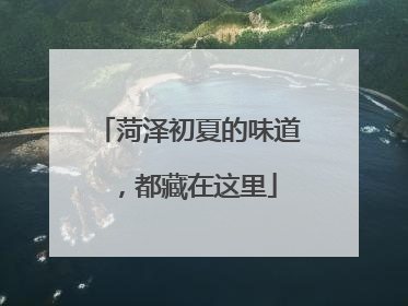 菏泽初夏的味道，都藏在这里