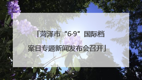 菏泽市“6·9”国际档案日专题新闻发布会召开