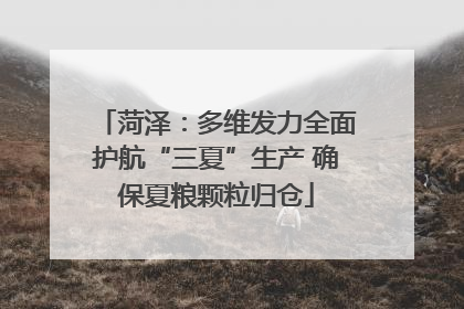 菏泽：多维发力全面护航“三夏”生产 确保夏粮颗粒归仓
