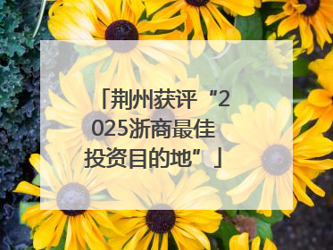 荆州获评“2025浙商最佳投资目的地”