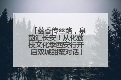荔香传丝路，泉韵汇长安！从化荔枝文化季西安行开启双城甜蜜对话