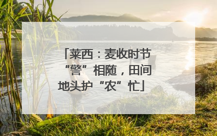 莱西：麦收时节“警”相随，田间地头护“农”忙