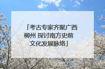 考古专家齐聚广西柳州 探讨南方史前文化发展脉络