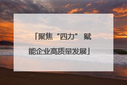 聚焦“四力” 赋能企业高质量发展