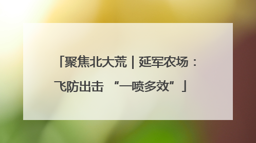 聚焦北大荒｜延军农场：飞防出击 “一喷多效”