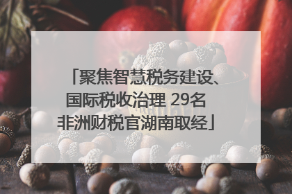 聚焦智慧税务建设、国际税收治理 29名非洲财税官湖南取经