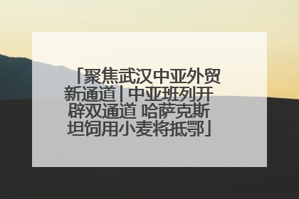 聚焦武汉中亚外贸新通道│中亚班列开辟双通道 哈萨克斯坦饲用小麦将抵鄂