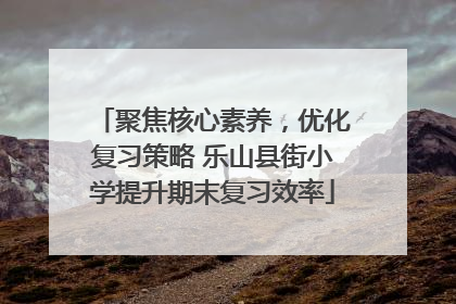聚焦核心素养，优化复习策略 乐山县街小学提升期末复习效率