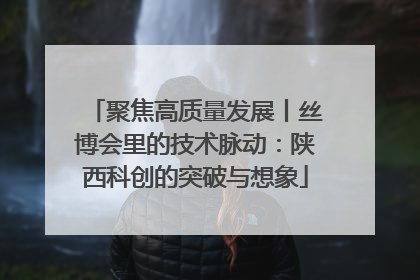 聚焦高质量发展丨丝博会里的技术脉动：陕西科创的突破与想象