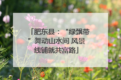 肥东县：“绿飘带”舞动山水间 风景线铺就共富路
