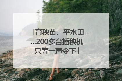 育秧苗、平水田……200多台插秧机只等一声令下
