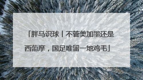 胖马识球丨不管美加墨还是西葡摩，国足唯留一地鸡毛