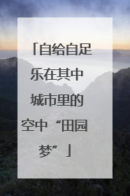 自给自足 乐在其中 城市里的空中“田园梦”