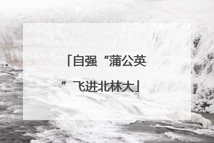 自强“蒲公英”飞进北林大