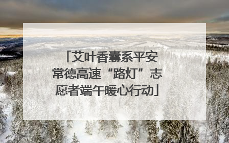 艾叶香囊系平安 常德高速“路灯”志愿者端午暖心行动