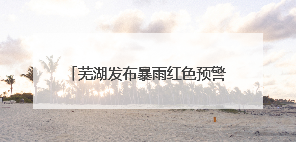 芜湖发布暴雨红色预警 交警全员上岗护高考