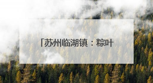 苏州临湖镇：粽叶飘香传文明 村村有“戏”树新风