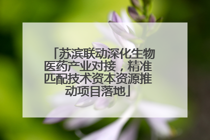 苏滨联动深化生物医药产业对接，精准匹配技术资本资源推动项目落地