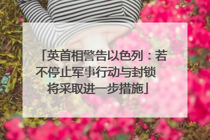 英首相警告以色列：若不停止军事行动与封锁 将采取进一步措施
