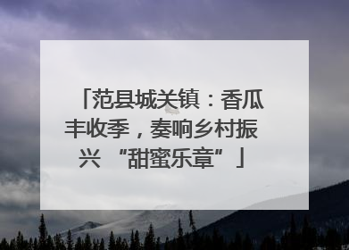 范县城关镇：香瓜丰收季，奏响乡村振兴 “甜蜜乐章”