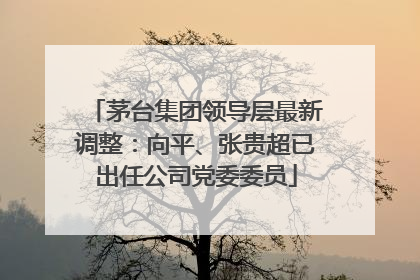 茅台集团领导层最新调整：向平、张贵超已出任公司党委委员