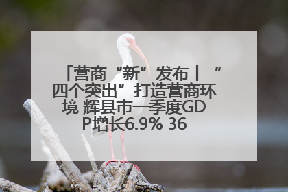 营商“新”发布丨“四个突出”打造营商环境 辉县市一季度GDP增长6.9% 36个重点项目落地