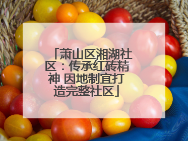 萧山区湘湖社区：传承红砖精神 因地制宜打造完整社区