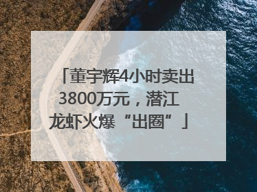 董宇辉4小时卖出3800万元，潜江龙虾火爆“出圈”
