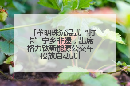董明珠沉浸式“打卡”宁乡非遗，出席格力钛新能源公交车投放启动式