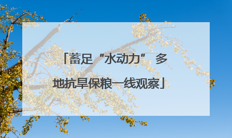 蓄足“水动力” 多地抗旱保粮一线观察