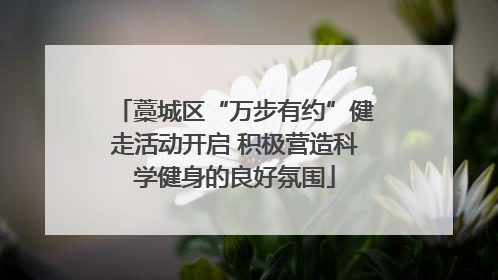 藁城区“万步有约”健走活动开启 积极营造科学健身的良好氛围