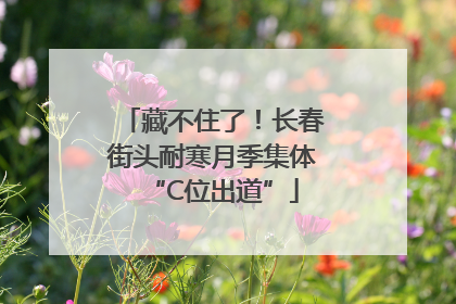 藏不住了！长春街头耐寒月季集体“C位出道”