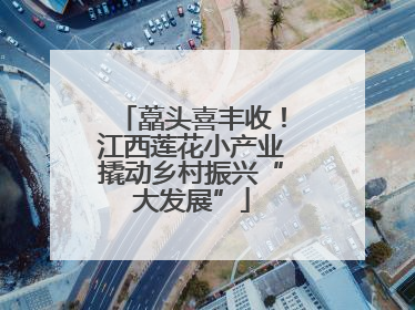 藠头喜丰收！江西莲花小产业撬动乡村振兴“大发展”