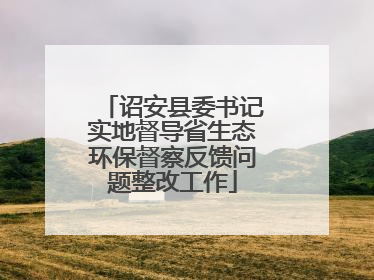诏安县委书记实地督导省生态环保督察反馈问题整改工作