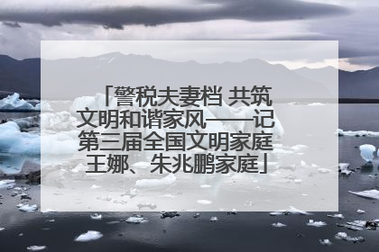 警税夫妻档 共筑文明和谐家风——记第三届全国文明家庭王娜、朱兆鹏家庭