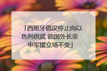 西班牙倡议停止向以色列供武 德国外长重申军援立场不变