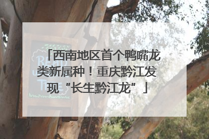 西南地区首个鸭嘴龙类新属种！重庆黔江发现“长生黔江龙”
