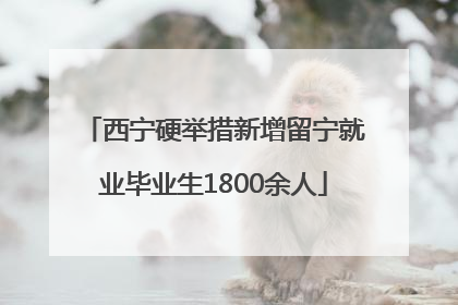 西宁硬举措新增留宁就业毕业生1800余人