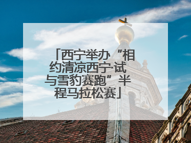 西宁举办“相约清凉西宁·试与雪豹赛跑”半程马拉松赛