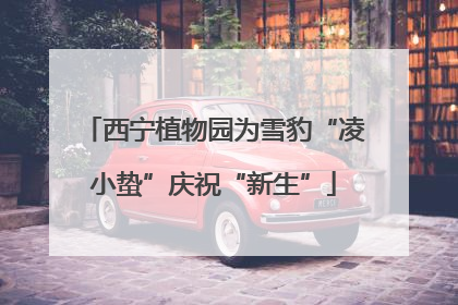 西宁植物园为雪豹“凌小蛰”庆祝“新生”