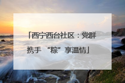 西宁西台社区：党群携手 “粽”享温情