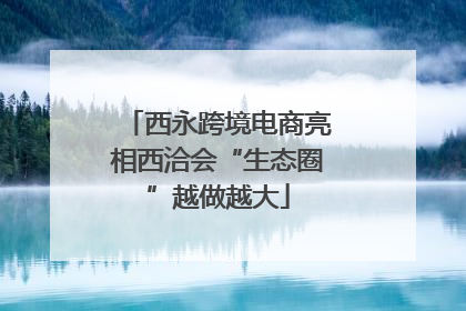 西永跨境电商亮相西洽会“生态圈”越做越大