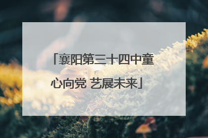 襄阳第三十四中童心向党 艺展未来