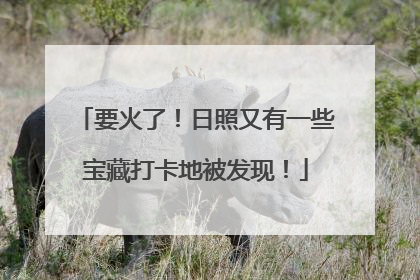 要火了！日照又有一些宝藏打卡地被发现！