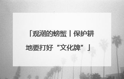 观潮的螃蟹丨保护耕地要打好“文化牌”