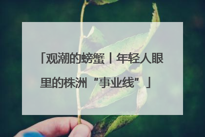 观潮的螃蟹丨年轻人眼里的株洲“事业线”
